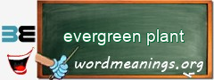 WordMeaning blackboard for evergreen plant